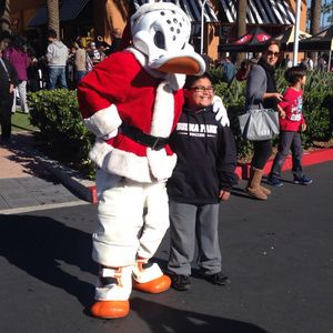 Image post by @anaheimducks on Instagram