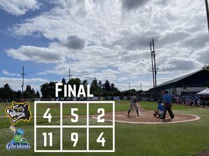 Image post by @picklesbaseball on Instagram