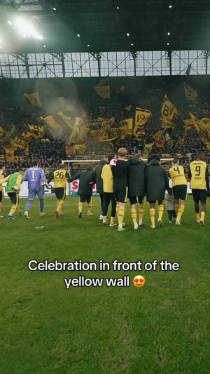 Video post by @bundesliga on TikTok