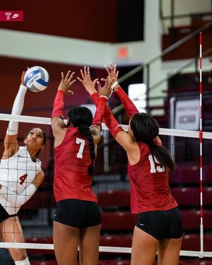 Image post by @temple.vb on Instagram