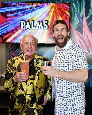 Image post by @palms on Instagram