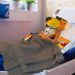 Image post by @ChesterCheetah on Twitter