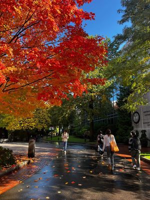 Image post by @northeastern on Instagram