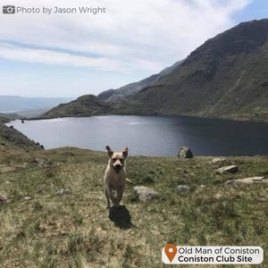 Image post by @candmclub on Instagram