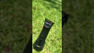 Video post by @drsquatch on YouTube