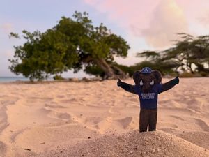 Image post by @amherststudentaffairs on Instagram