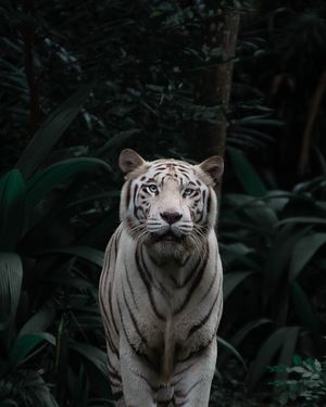 Image post by @discovery on Instagram