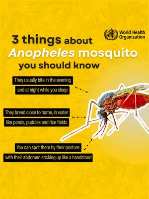Image post by @who on Instagram