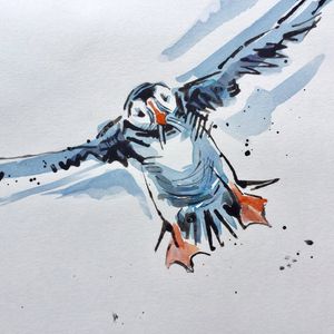Image post by @rspb on Instagram