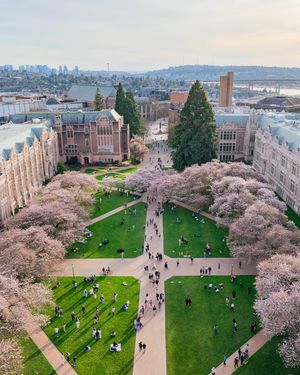 Image post by @uwathletics on Instagram
