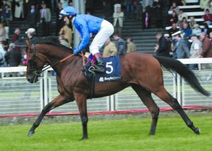 Image post by @godolphin on Instagram