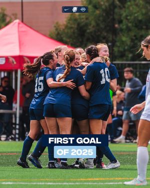 Image post by @nutimberwolves on Instagram