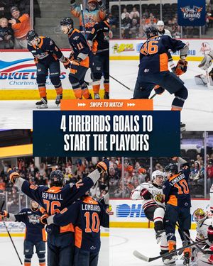 Image post by @flintfirebirds on Instagram