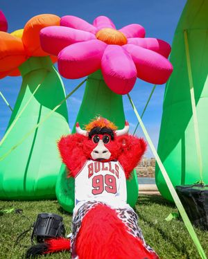Image post by @bennythebull on Instagram