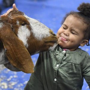 Image post by @michiganstatefair on Instagram