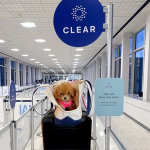 Image post by @clear on Instagram