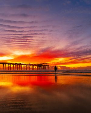 Image post by @ucsandiego on Instagram