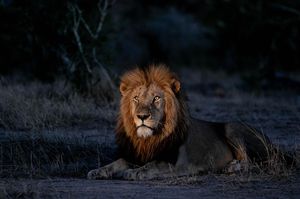 Image post by @guybrunskillphoto on Instagram