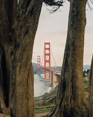Image post by @connorpickett on Instagram