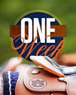 Image post by @auburnequestrian on Instagram