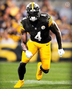 Image post by @steelers on Instagram