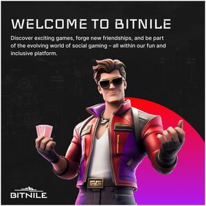 Image post by @bitnilecom on Instagram