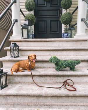 Image post by @kellyinthecity on Instagram