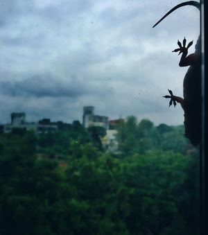 Image post by @instaz1z on Instagram