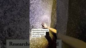 Video post by @nytimes on YouTube