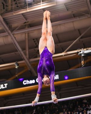 Image post by @uwgymnastics on Instagram