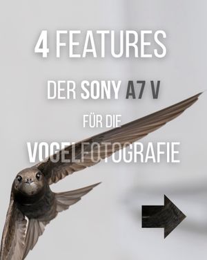 Image post by @sony.deutschland.at on Instagram