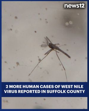 Image post by @news12li on Instagram