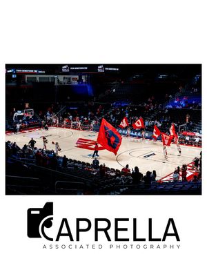 Image post by @caprellaassociatedphotos on Instagram