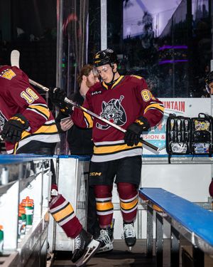 Image post by @ch_designs10 on Instagram