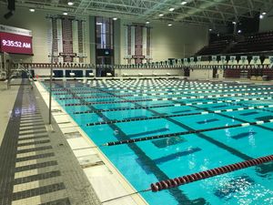 Image post by @AggieSwimDive on Twitter