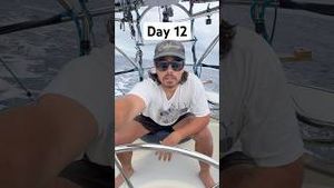 Video post by @sailing_with_phoenix on YouTube