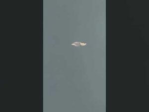 Video post by @JasonDerulo on YouTube