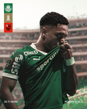 Image post by @palmeiras on Instagram