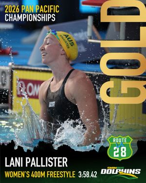 Image post by @dolphinsaus on Instagram