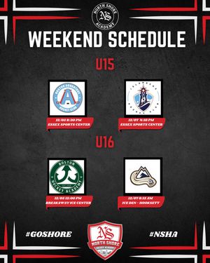 Image post by @nshockeyacademy on Instagram