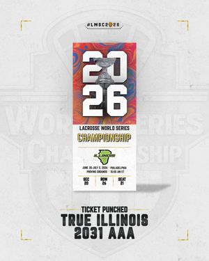 Image post by @worldserieschampionship on Instagram