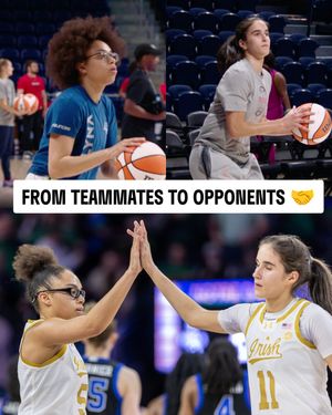 Image post by @wnba on Instagram