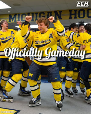 Image post by @everythingcollegehockey on Instagram