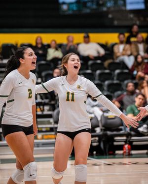 Image post by @usfdonsvb on Instagram