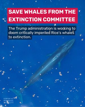 Image post by @centerforbiodiv on Instagram