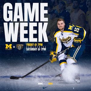 Image post by @umdearbornmhky on Instagram