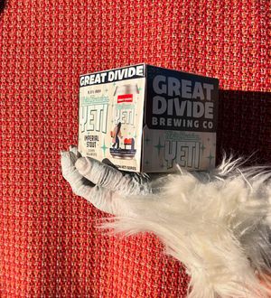 Image post by @greatdividebrew on Instagram