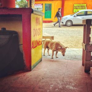 Image post by @michaelspruit on Instagram