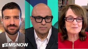 Video post by @msnbc on YouTube