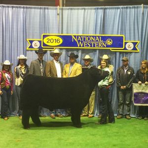 Image post by @nationalwestern on Instagram